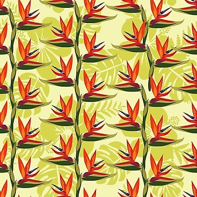 EPS 해외이미지 식물 디자인 계절 꽃 백그라운드 잎 꽃무늬 패턴 오렌지 일러스트 자연 조류 추상 미술 그래픽 장식 초록색 여름 정원 봄 벚꽃 직물 화려 인쇄 질감 내추럴 파라다이스 해외202004 해외일러스트 동물 컬러 컨셉 무늬 과일 문화예술 생태계 파일형식 벡터 이미지허브