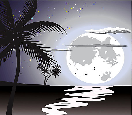 EPS 해외이미지 나무 구름 실루엣 바다 섬 여행 잎 일러스트 자연 하늘 휴가 휴식 손바닥 풍경 해변 물 여름 파란색 빛 반사 일출 디지털 황혼 일몰 봄 새벽 달 야간 큼 지중해 달빛 가득함 하와이 공상 파라다이스 수평선 해외202004 해외일러스트 자연요소 식물 손 계절 컬러 컨셉 촬영기법 노을 미국 크기 생태계 파일형식 벡터 이미지허브