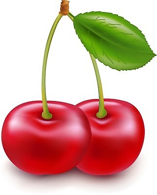 EPS 해외이미지 열매 음식 줄기 잎 과일 일러스트 디저트 건강 3 빨간색 초록색 여름 빛 흰색 신선 체리 달콤 맛 오브젝트 상쾌 유기농 날것 고립 과육 숙성 채식주의자 해외202004 해외일러스트 식물 웰빙 계절 감정 컬러 컨셉 채식 파일형식 벡터 이미지허브