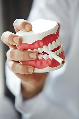 포토 JPG 서양인 외국인 백인 해외기획촬영 직업 라이프스타일 손 남자 여유 중년 50대 모션 중년라이프 담배 실내 치과 병원 2014년태국 한명 들기 사람 앉기 성인 앞모습 모형 믿음 진료 의사 가운 의사가운 자신감 수술복 열정 남자만 남자한명만 성인남자만 성인한명만 성인남자한명만 중년만 중년남자만 중년남자한명만 성인만 국내포토 1 옷 감정 뷰포인트 의학 인종 내부 생활 신체부위 의료진 파일형식