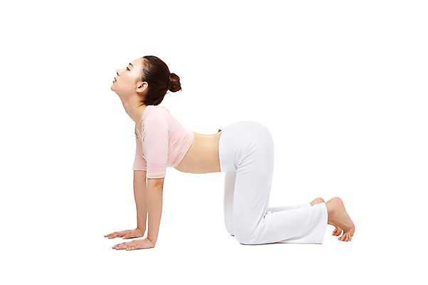 포토 JPG 스튜디오촬영 전신 여자 엎드리기 다이어트 요가 모션 실내 건강 한명 누끼 사람 동양인 20대 성인 옆모습 운동복 운동 헬스 한국인 목표 열정 고양이자세 여자만 여자한명만 성인여자만 청년만 청년여자만 성인한명만 청년여자한명만 성인여자한명만 성인만 국내포토 1 웰빙 옷 감정 뷰포인트 컨셉 인종 청년 내부 요가자세 파일형식