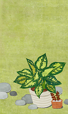 PSD 식물 화분 화초 컬러 백그라운드 일러스트 사람없음 연두색 돌_바위 국내일러스트 초록색 파일형식