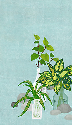 PSD 식물 화초 백그라운드 일러스트 유리병 사람없음 꽃병 돌_바위 병 국내일러스트 식기 꽃 병_용기 파일형식