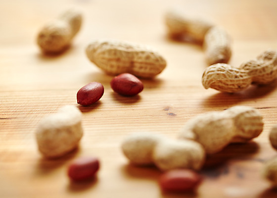 포토 JPG 스튜디오촬영 음식 백그라운드 실내 근접촬영 사람없음 아웃포커스 견과류 껍질 알맹이 땅콩 국내포토 뷰포인트 촬영기법 내부 파일형식