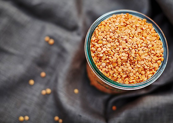 포토 JPG 스튜디오촬영 식기 음식 백그라운드 실내 근접촬영 사람없음 아웃포커스 하이앵글 견과류 직물 천 유리그릇 렌즈콩 국내포토 그릇 뷰포인트 유리 촬영기법 내부 파일형식