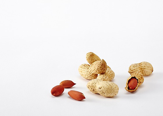 포토 JPG 스튜디오촬영 음식 백그라운드 실내 사람없음 여러개 견과류 껍질 땅콩 국내포토 다수 내부 파일형식