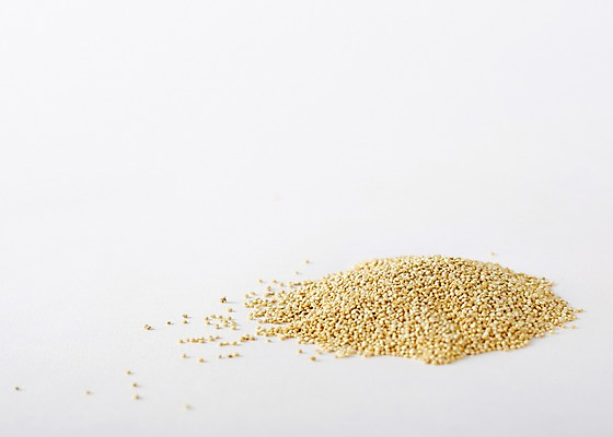 포토 JPG 스튜디오촬영 음식 백그라운드 실내 사람없음 여러개 견과류 퀴노아 국내포토 다수 곡류 내부 파일형식