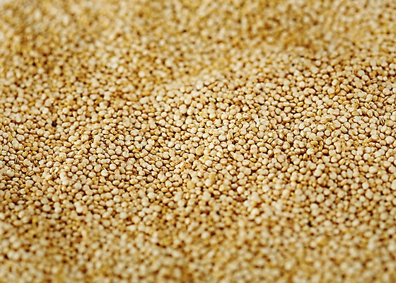 포토 JPG 스튜디오촬영 음식 백그라운드 실내 근접촬영 사람없음 아웃포커스 여러개 견과류 퀴노아 국내포토 뷰포인트 다수 곡류 촬영기법 내부 파일형식