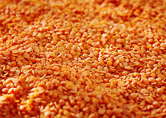 포토 JPG 스튜디오촬영 음식 백그라운드 실내 근접촬영 사람없음 아웃포커스 여러개 견과류 렌즈콩 국내포토 뷰포인트 다수 촬영기법 내부 파일형식