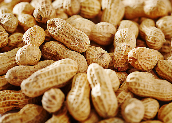 포토 JPG 스튜디오촬영 음식 백그라운드 실내 근접촬영 사람없음 아웃포커스 여러개 견과류 껍질 땅콩 국내포토 뷰포인트 다수 촬영기법 내부 파일형식