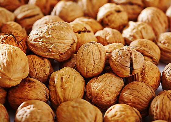 포토 JPG 스튜디오촬영 음식 백그라운드 실내 근접촬영 사람없음 아웃포커스 여러개 견과류 호두 국내포토 뷰포인트 다수 촬영기법 내부 파일형식