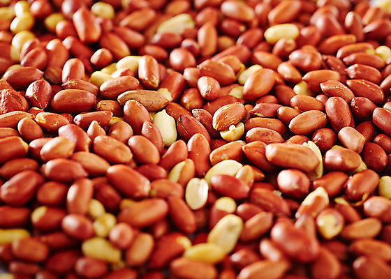 포토 JPG 스튜디오촬영 음식 백그라운드 실내 근접촬영 사람없음 아웃포커스 여러개 견과류 껍질 땅콩 국내포토 뷰포인트 다수 촬영기법 내부 파일형식