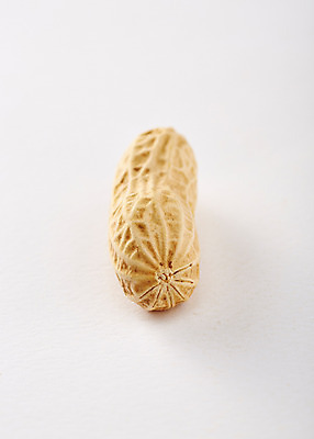 포토 JPG 스튜디오촬영 음식 백그라운드 실내 근접촬영 사람없음 아웃포커스 한개 견과류 껍질 땅콩 국내포토 1 뷰포인트 촬영기법 내부 파일형식