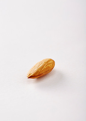 포토 JPG 스튜디오촬영 음식 백그라운드 실내 사람없음 한개 견과류 아몬드 국내포토 1 내부 파일형식