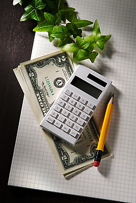 포토 JPG 스튜디오촬영 식물 백그라운드 지폐 돈 실내 사람없음 금융 경제 연필 달러 사무용품 공책 계산기 오브젝트 아이비 회계 국내포토 문구용품 학용품 내부 필기구 장비 재산 파일형식