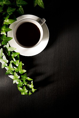 포토 JPG 스튜디오촬영 식물 여유 커피 음료 백그라운드 휴식 실내 사람없음 커피잔 오브젝트 아이비 국내포토 감정 컨셉 잔 내부 파일형식