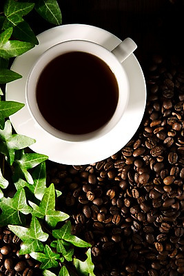 포토 JPG 스튜디오촬영 식물 커피 음료 백그라운드 휴식 실내 사람없음 원두 커피잔 오브젝트 아이비 국내포토 컨셉 잔 내부 파일형식