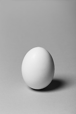 포토 JPG 스튜디오촬영 백그라운드 실내 사람없음 한개 계란 흰색 오브젝트 국내포토 1 컬러 내부 알 파일형식