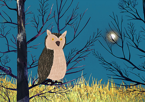 PSD 나무 식물 편집이미지 상상 조류 밤하늘 사람없음 야외 판타지 달 야간 숲속 올빼미 이미지편집 자연요소 동물 하늘 숲 파일형식