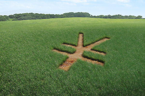 주간 PSD 나무 식물 편집이미지 자연 사람없음 야외 금융 경제 3D 화폐기호 엔 보리 보리밭 이미지편집 편집3D 자연요소 기호 돈 밭 곡류 화폐 디지털합성 생태계 파일형식