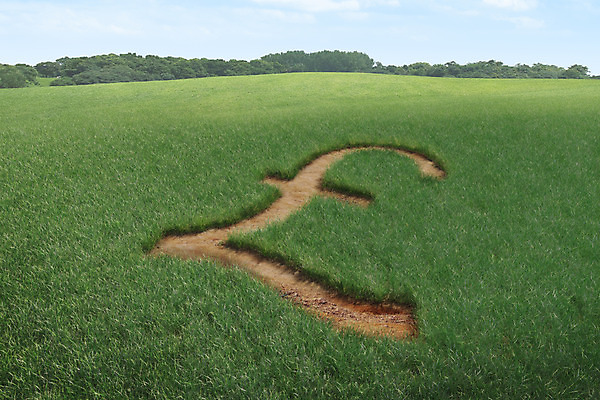 주간 PSD 나무 식물 편집이미지 자연 사람없음 야외 금융 경제 3D 화폐기호 보리 보리밭 파운드 이미지편집 편집3D 자연요소 기호 돈 밭 곡류 화폐 디지털합성 생태계 파일형식