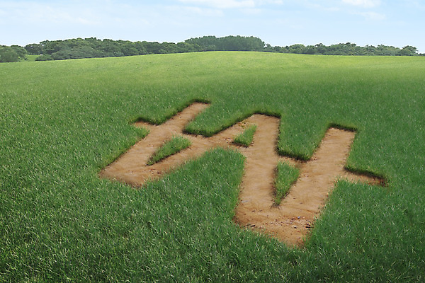 주간 PSD 나무 식물 편집이미지 자연 사람없음 야외 금융 경제 3D 화폐기호 보리 보리밭 이미지편집 편집3D 자연요소 기호 밭 곡류 화폐 디지털합성 생태계 파일형식