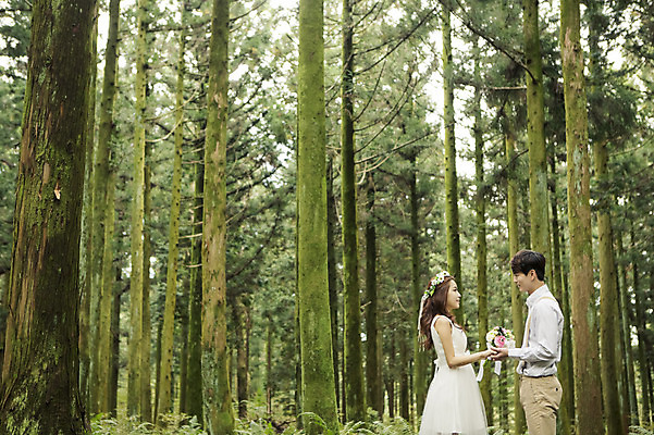 포토 JPG 주간 나무 커플 여자 남자 행복 신부 부케 웨딩드레스 신랑 결혼 신혼부부 자연 한국 들기 사람 동양인 상반신 20대 성인 야외 두명 옆모습 제주도 손잡기 화관 로맨틱 한국인 분위기 추억 숲 청순 특별함 청년만 성인만 국내포토 자연요소 식물 부부 드레스 꽃 감정 아시아 뷰포인트 꽃다발 컨셉 관계 모션 인종 이벤트 청년 생태계 신혼 파일형식