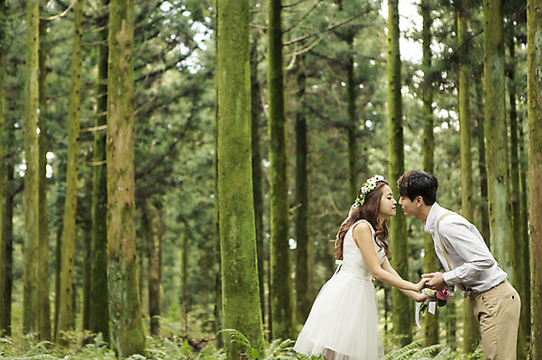 포토 JPG 주간 나무 커플 여자 남자 행복 신부 웨딩드레스 신랑 결혼 신혼부부 자연 키스 한국 서기 사람 동양인 상반신 20대 성인 야외 두명 옆모습 제주도 손잡기 로맨틱 한국인 분위기 추억 숲 청순 특별함 청년만 성인만 국내포토 자연요소 식물 부부 드레스 감정 아시아 뷰포인트 컨셉 관계 모션 인종 이벤트 청년 애정표현 생태계 신혼 파일형식