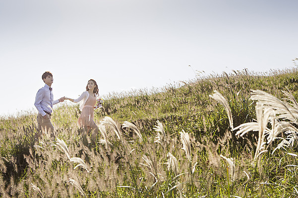 포토 JPG 주간 커플 여자 남자 행복 신부 신랑 결혼 신혼부부 하늘 한국 따뜻함 미소 사람 동양인 상반신 20대 성인 야외 두명 제주도 걷기 손잡기 로맨틱 한국인 분위기 추억 억새 오름 청순 특별함 청년만 성인만 국내포토 자연요소 식물 부부 감정 아시아 컨셉 관계 모션 표정 인종 이벤트 청년 신혼 파일형식