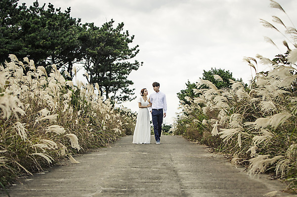 포토 JPG 주간 전신 커플 드레스 여자 남자 행복 길 신부 웨딩드레스 신랑 결혼 신혼부부 한국 따뜻함 서기 사람 동양인 20대 성인 야외 두명 앞모습 제주도 팔짱 로맨틱 한국인 분위기 추억 억새 억새밭 청순 특별함 청년만 성인만 국내포토 자연요소 식물 부부 옷 감정 아시아 뷰포인트 컨셉 관계 모션 인종 이벤트 청년 신혼 파일형식