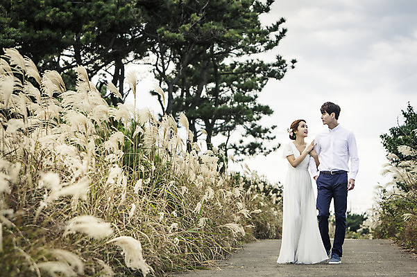 포토 JPG 주간 전신 커플 드레스 여자 남자 행복 길 신부 웨딩드레스 신랑 결혼 신혼부부 하늘 한국 따뜻함 서기 사람 동양인 20대 성인 야외 두명 앞모습 제주도 팔짱 로맨틱 한국인 분위기 추억 억새 억새밭 청순 특별함 청년만 성인만 국내포토 자연요소 식물 부부 옷 감정 아시아 뷰포인트 컨셉 관계 모션 인종 이벤트 청년 신혼 파일형식