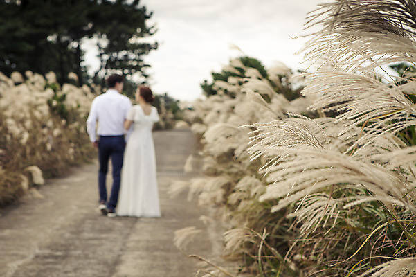 포토 JPG 주간 전신 커플 드레스 여자 남자 행복 길 신부 웨딩드레스 신랑 결혼 신혼부부 한국 따뜻함 사람 동양인 20대 성인 야외 두명 뒷모습 제주도 걷기 팔짱 로맨틱 한국인 분위기 추억 억새 억새밭 청순 특별함 청년만 성인만 국내포토 자연요소 식물 부부 옷 감정 아시아 뷰포인트 컨셉 관계 모션 인종 이벤트 청년 신혼 파일형식