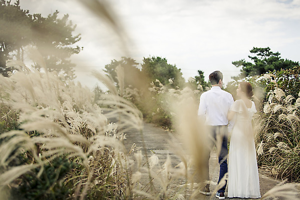 포토 JPG 주간 전신 커플 여자 남자 행복 길 신부 신랑 결혼 신혼부부 한국 따뜻함 사람 동양인 20대 성인 야외 두명 뒷모습 제주도 걷기 로맨틱 한국인 분위기 추억 억새 억새밭 청순 특별함 청년만 성인만 국내포토 자연요소 식물 부부 감정 아시아 뷰포인트 컨셉 관계 모션 인종 이벤트 청년 신혼 파일형식