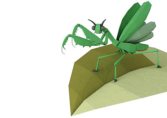 PSD 편집이미지 곤충 백그라운드 사람없음 컴퓨터그래픽 그래픽 3D소스 3D 사마귀 편집3D 동물 디지털합성 파일형식