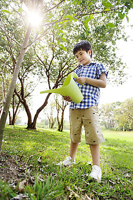 포토 JPG 주간 전신 외국인 나무 식물 해외기획촬영 공원 남자 행복 여유 어린이 캠페인 자연 2014년태국 한명 서기 들기 사람 소년 잔디 야외 앞모습 10대 햇빛 자연보호 그린캠페인 물뿌리개 보호 즐거움 물주기 남자만 남자한명만 십대만 십대남자만 십대남자한명만 국내포토 자연요소 1 공공시설 감정 뷰포인트 컨셉 모션 청소년 인종 태양 생태계 파일형식