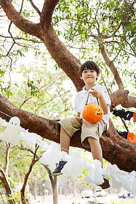 포토 JPG 주간 전신 외국인 나무 해외기획촬영 공원 남자 행복 여유 어린이 자연 2014년태국 한명 미소 들기 사람 앉기 소년 야외 앞모습 10대 할로윈 유령 즐거움 사탕바구니 남자만 남자한명만 십대만 십대남자만 십대남자한명만 국내포토 자연요소 식물 1 공공시설 감정 뷰포인트 모션 청소년 표정 사탕 인종 바구니 생태계 파일형식