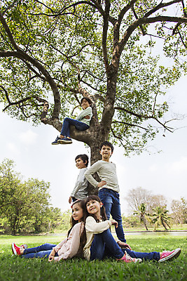 포토 JPG 주간 전신 외국인 나무 해외기획촬영 공원 여자 남자 여유 어린이 허리손 자연 2014년태국 서기 미소 사람 앉기 소녀 소년 잔디 여러명 야외 옆모습 10대 친구 야외활동 즐거움 십대만 국내포토 자연요소 식물 공공시설 감정 뷰포인트 포즈 다수 관계 모션 청소년 표정 인종 생태계 파일형식