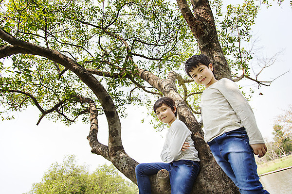 포토 JPG 주간 외국인 나무 해외기획촬영 공원 남자 여유 어린이 자연 2014년태국 서기 미소 사람 앉기 소년 상반신 야외 두명 앞모습 10대 친구 야외활동 즐거움 남자만 소년만 국내포토 자연요소 식물 공공시설 감정 뷰포인트 관계 모션 청소년 표정 인종 생태계 어린이만 파일형식