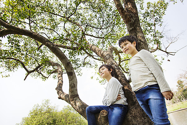 포토 JPG 주간 외국인 나무 해외기획촬영 응시 공원 남자 여유 어린이 자연 2014년태국 서기 사람 앉기 소년 상반신 야외 두명 앞모습 10대 친구 야외활동 즐거움 남자만 소년만 국내포토 자연요소 식물 시선 공공시설 감정 뷰포인트 관계 모션 청소년 인종 생태계 어린이만 파일형식