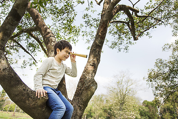 포토 JPG 주간 외국인 나무 해외기획촬영 공원 남자 여유 어린이 자연 2014년태국 한명 들기 사람 앉기 소년 상반신 야외 옆모습 10대 야외활동 망원경 관찰 즐거움 남자만 남자한명만 십대만 십대남자만 십대남자한명만 국내포토 자연요소 식물 1 공공시설 감정 뷰포인트 모션 청소년 인종 생태계 파일형식
