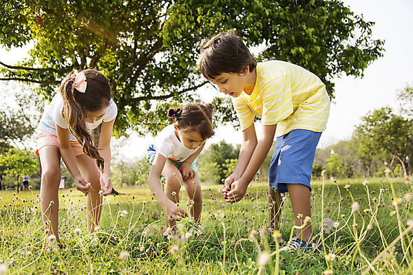 포토 JPG 주간 전신 외국인 나무 해외기획촬영 여자 남자 여유 어린이 자연 숙이기 2014년태국 서기 사람 소녀 소년 잔디 야외 앞모습 10대 세명 친구 야외활동 숲속 즐거움 찾기 십대만 줍기 국내포토 자연요소 식물 감정 뷰포인트 포즈 관계 모션 청소년 인종 숲 생태계 파일형식