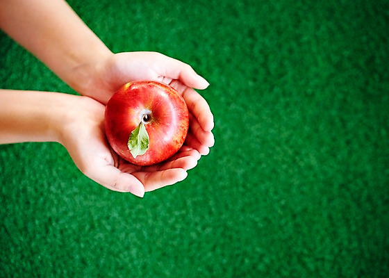 포토 JPG 스튜디오촬영 손 컬러 백그라운드 과일 실내 들기 사람 잔디 아웃포커스 신체부위 빨간색 하이앵글 한개 사과 국내포토 식물 1 뷰포인트 모션 촬영기법 내부 파일형식