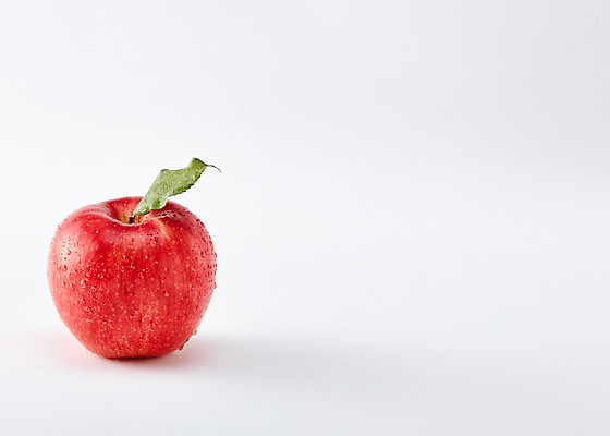 포토 JPG 스튜디오촬영 컬러 백그라운드 과일 실내 사람없음 빨간색 한개 사과 국내포토 1 내부 파일형식