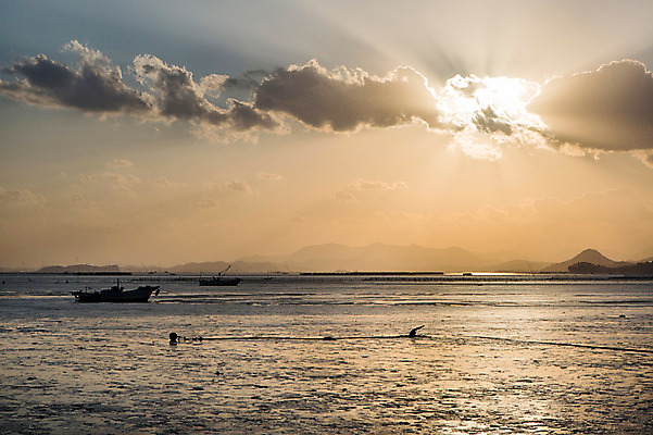 포토 JPG 주간 구름 아시아 바다 섬 자연 하늘 한국 풍경 해변 사람없음 야외 노을 일몰 전라남도 육지 갯벌 순천 국내포토 자연요소 나라 전라도 생태계 파일형식