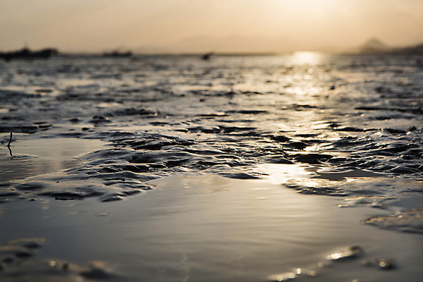 포토 JPG 주간 아시아 바다 자연 한국 풍경 근접촬영 해변 사람없음 야외 아웃포커스 노을 일몰 전라남도 갯벌 순천 국내포토 자연요소 나라 뷰포인트 촬영기법 전라도 생태계 파일형식