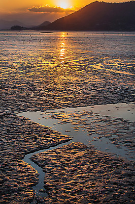 포토 JPG 주간 구름 아시아 바다 섬 자연 하늘 한국 풍경 해변 사람없음 야외 노을 일몰 전라남도 육지 갯벌 순천 국내포토 자연요소 나라 전라도 생태계 파일형식