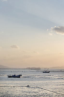 포토 JPG 주간 구름 아시아 바다 섬 자연 하늘 한국 풍경 해변 사람없음 야외 노을 일몰 어선 전라남도 육지 갯벌 순천 선박 국내포토 자연요소 나라 수상교통 배_교통 전라도 생태계 파일형식
