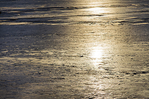 포토 JPG 주간 아시아 바다 자연 한국 풍경 해변 사람없음 야외 노을 일몰 전라남도 갯벌 순천 국내포토 자연요소 나라 전라도 생태계 파일형식