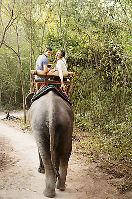 포토 JPG 주간 서양인 외국인 나무 백인 해외기획촬영 커플 여자 남자 행복 문화 여유 커플라이프 여행 코끼리 2014년태국 미소 사람 앉기 상반신 20대 성인 야외 두명 뒷모습 트래킹 체험 뒤돌아보기 즐거움 코끼리트래킹 청년만 성인만 국내포토 자연요소 식물 라이프스타일 감정 뷰포인트 컨셉 포유류 관계 모션 레저 표정 인종 청년 파일형식