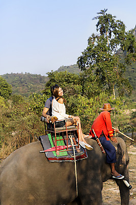 포토 JPG 주간 전신 서양인 외국인 나무 백인 해외기획촬영 커플 여자 남자 행복 문화 여유 커플라이프 여행 코끼리 2014년태국 미소 사람 앉기 20대 성인 야외 옆모습 세명 트래킹 체험 즐거움 코끼리트래킹 청년만 성인만 국내포토 자연요소 식물 라이프스타일 감정 뷰포인트 컨셉 포유류 관계 모션 레저 표정 인종 청년 파일형식